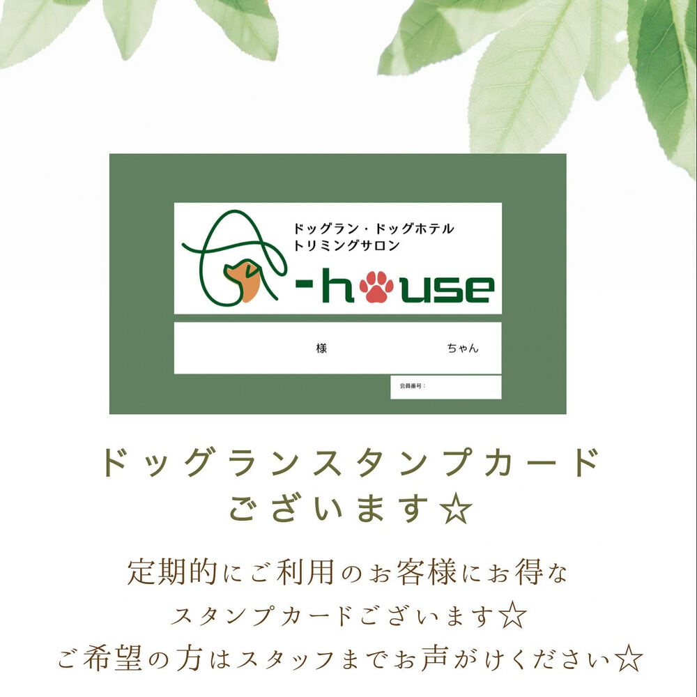 ブログ