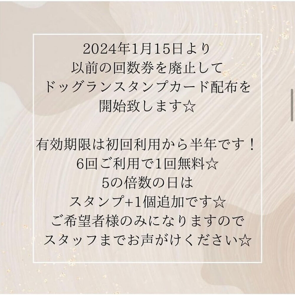 ブログ