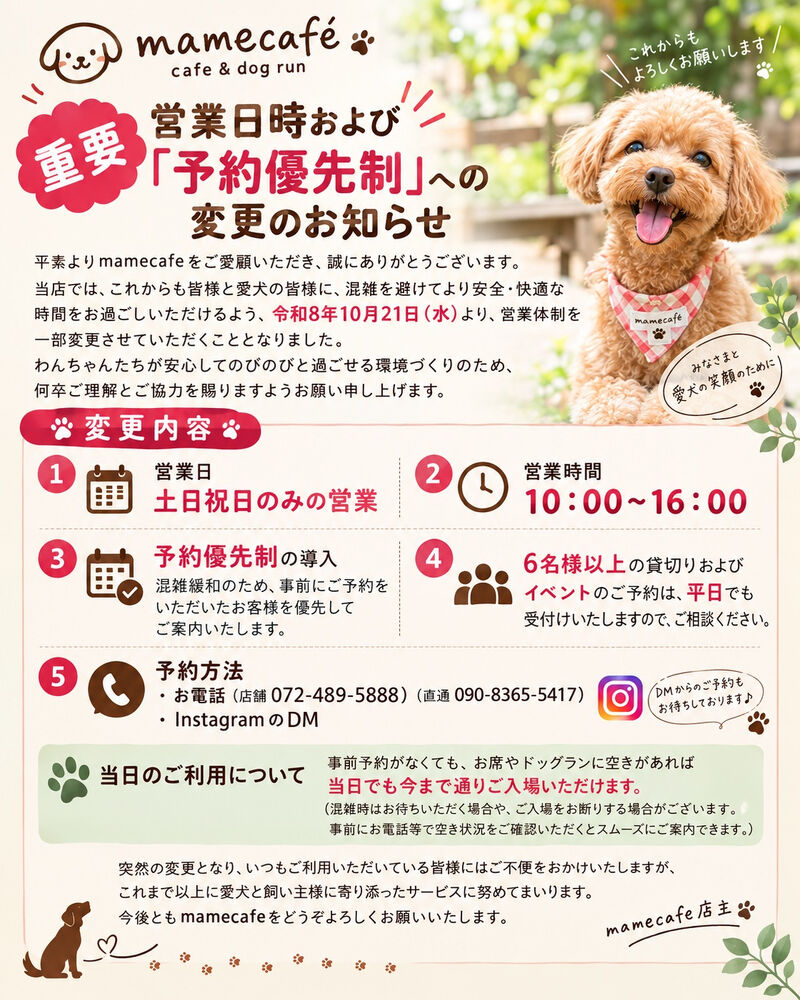 ブログ